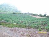 th_100_3071.jpg