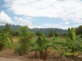 th_100_3095.jpg