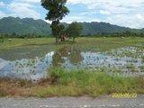 th_100_3101.jpg