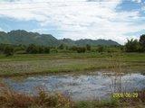 th_100_3108.jpg