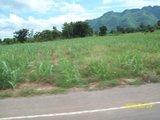th_100_3111.jpg