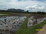 th_100_3117.jpg