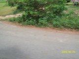 th_100_3137.jpg