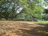 th_100_5840.jpg