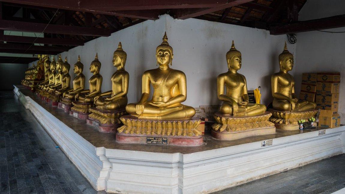 Thai 2018-366.jpg