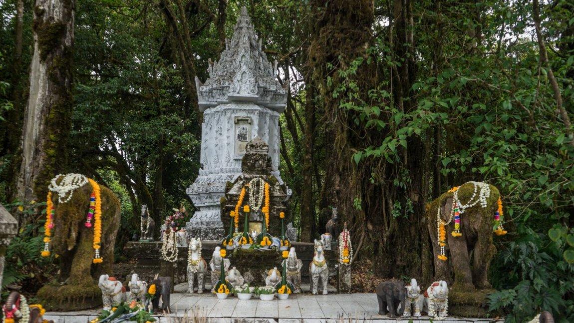 Thai 2018-644.jpg