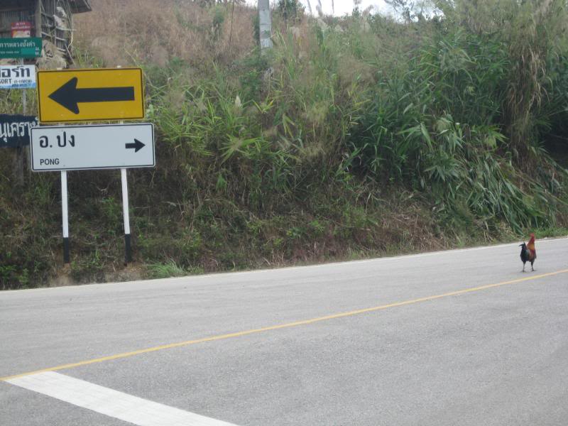 thailand803.jpg
