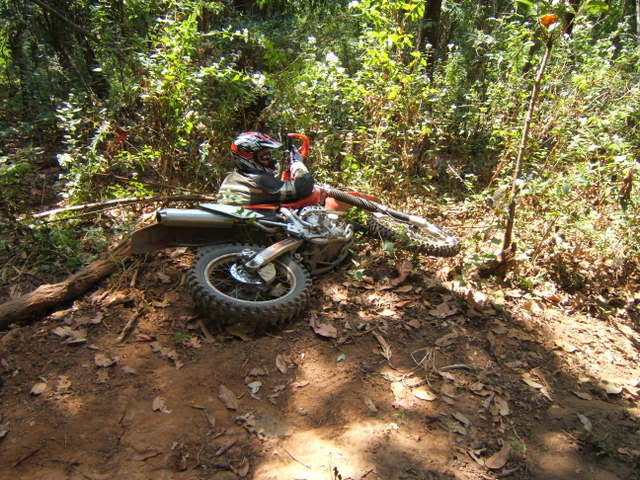 Thaioff-roadDec-1.jpg