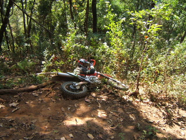 Thaioff-roadDec06049.jpg