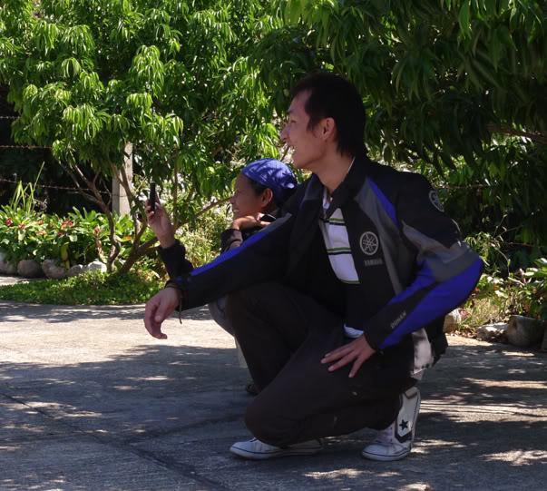 thaisintheshade.jpg