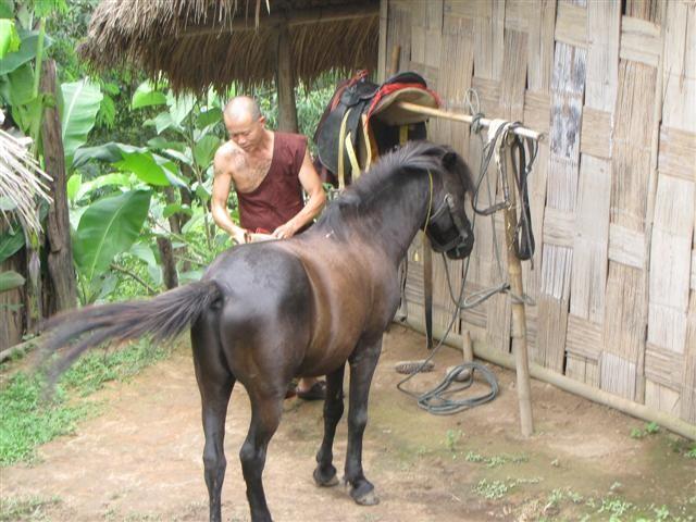 thoedthai070.jpg