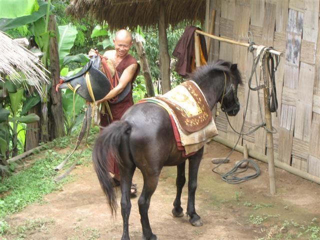thoedthai071.jpg