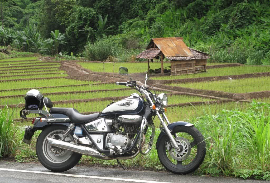 TriptoGoldenTriangle225.jpg