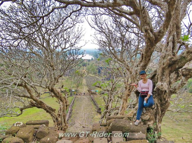 VatPhu-GTR-IMG_2093B.jpg