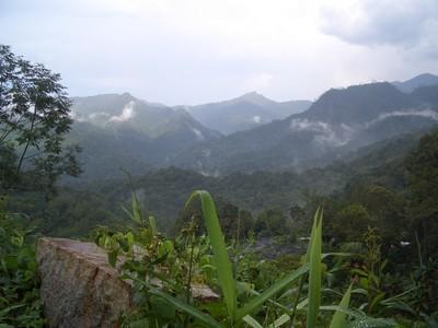 View.jpg