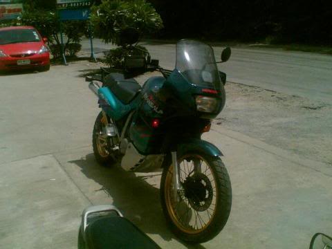 viewphoto6.jpg