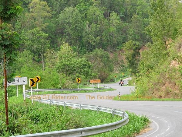 wiang-pa-pao-phrao-r1150-03-3.jpg