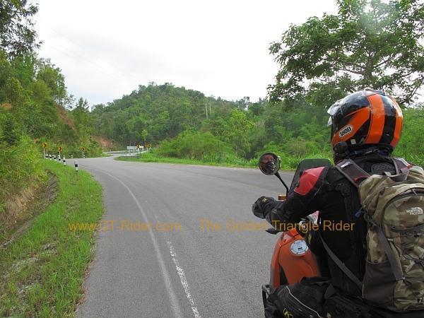 wiang-pa-pao-phrao-r1150-03-6.jpg