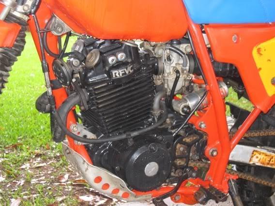 XR250019.jpg