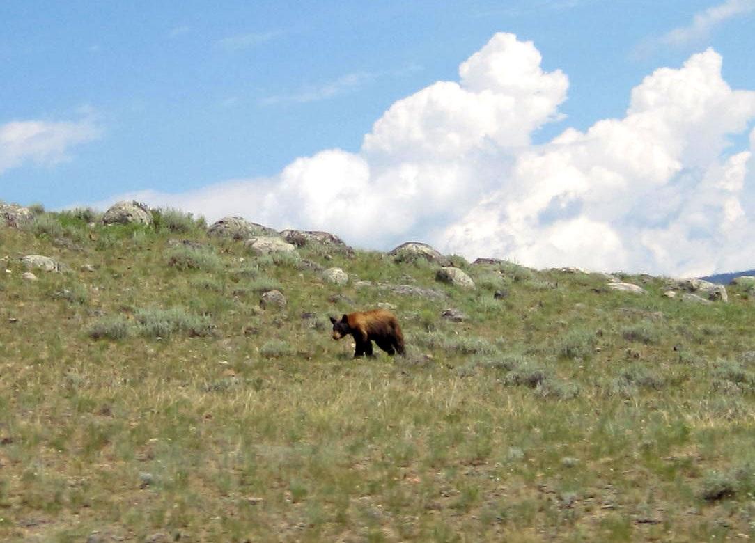 YellowstoneJuly28th_028.jpg