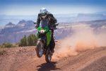 Kawasaki-Versys-300-Adventure-Motorcycle-561x374.jpg