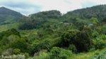 P1160750.jpg