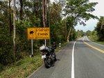 Thai 2018-377.jpg