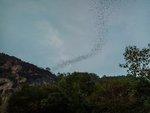 Thai 2018-401.jpg