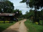 ontheroadagain085.jpg