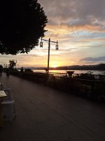 20250629_184523.jpg