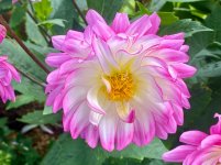 IMG_3821.jpeg