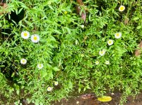 IMG_3824.jpeg