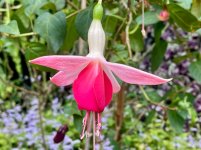 IMG_3836.jpeg
