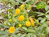 IMG_3891.jpeg