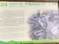 IMG_3900.jpeg