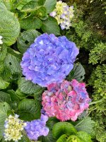 IMG_3904.jpeg