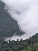 IMG_20250828_164350.jpg