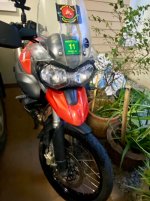 IMG_4384.jpeg
