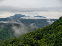IMG_20250705_160827.jpg