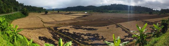 2024-12-05 08.59.15 Ban Rak Thai.jpg