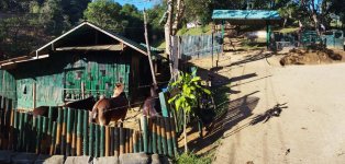 2024-12-05 16.23.33 Ban Rak Thai.jpg