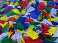 IMG_5744.jpeg