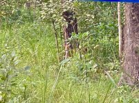 IMG_6374.jpeg