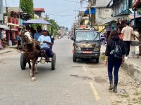 IMG_6382.jpeg