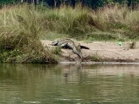 IMG_6391.jpeg