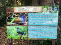 IMG_4982.jpeg