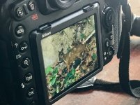 IMG_4996.jpeg