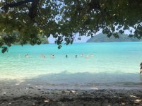IMG_5004.jpeg