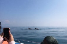 IMG_5007.jpeg