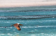 IMG_5155.jpeg